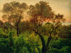 Pente avec oliviers - Louis Gurlitt